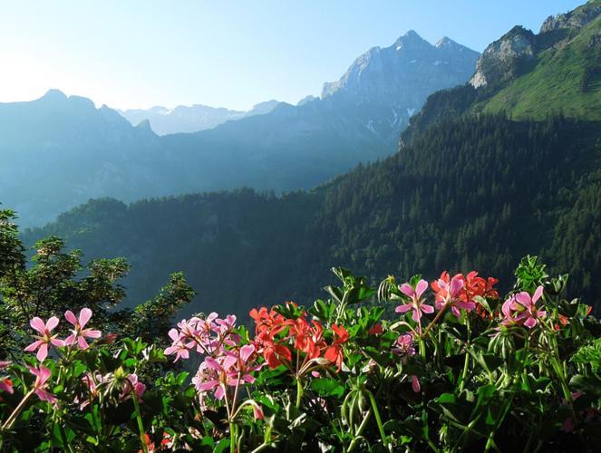 Berggasthaus Gitschenen 호텔 Isenthal 외부 사진