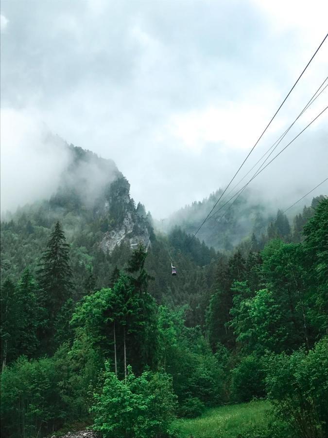 Berggasthaus Gitschenen 호텔 Isenthal 외부 사진